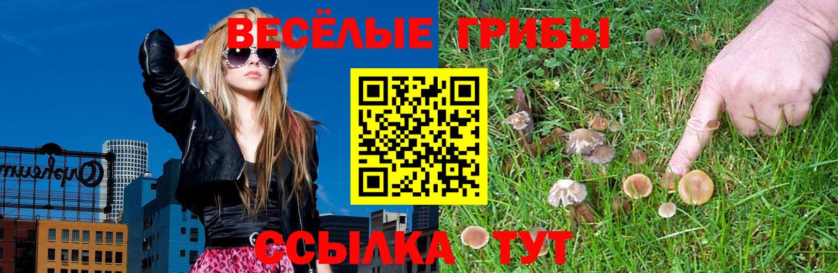 Псилоцибиновые грибы Psilocybe  Галлюциногенные грибы GOLDEN TEACHER  Ртищево  Вход с VPN 