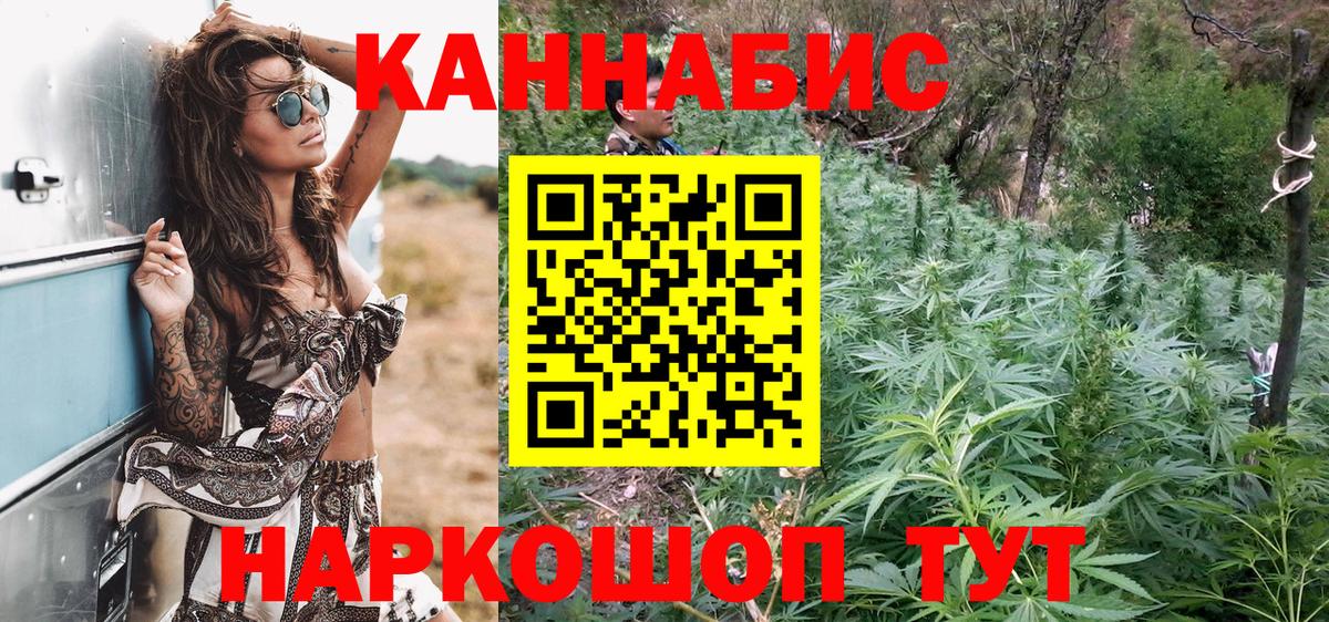 Бошки Шишки план Ртищево